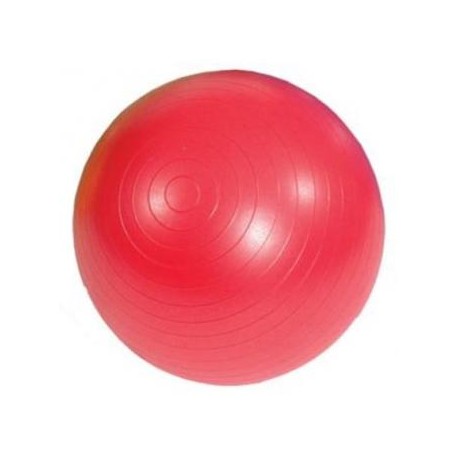 Diordi - Pelota de Pilates y Yoga Terapéutica con Inflador 85cm - Rojo