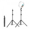 Kit Anillo Luz Led 24cm Iluminación de audio y video Pro